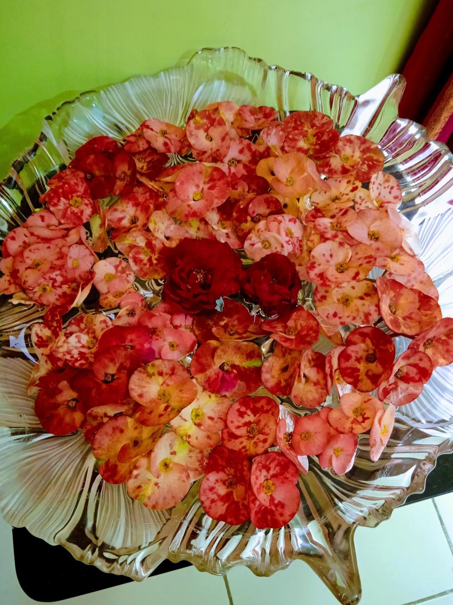 Bhoboghure Homestay Santiniketan Bolpur Exteriér fotografie