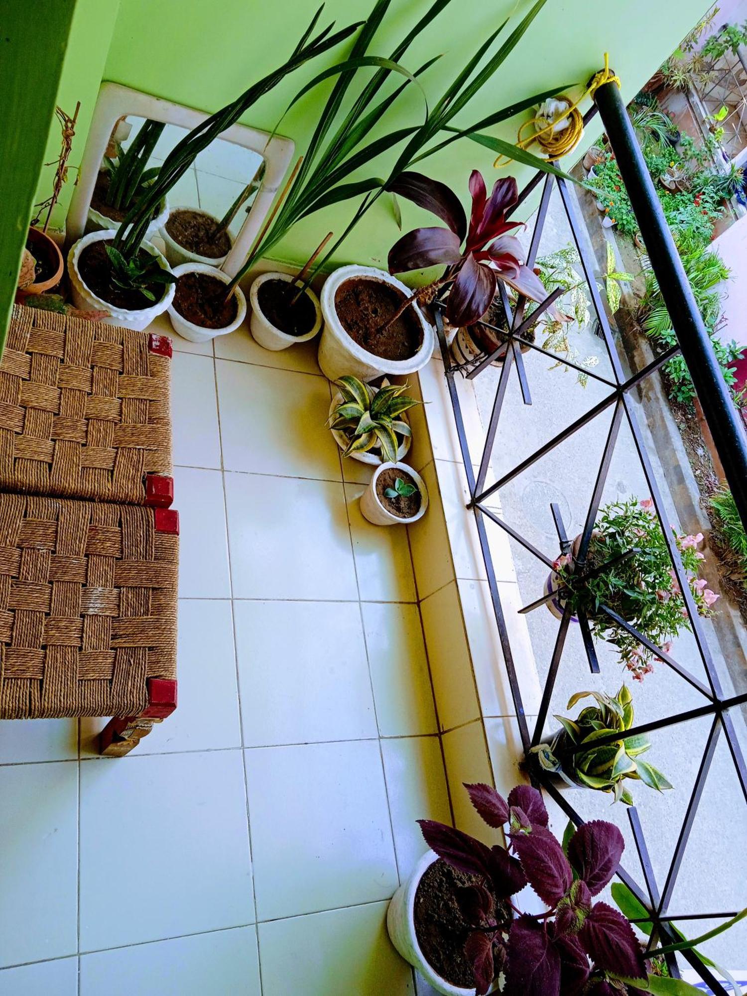 Bhoboghure Homestay Santiniketan Bolpur Exteriér fotografie